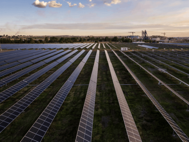 The panels of the Evander PV park stretch to the horizon. The sun is slowly rising.